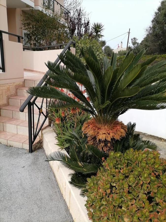 Kydoni Apartments And Studios Agia Marina Buitenkant foto