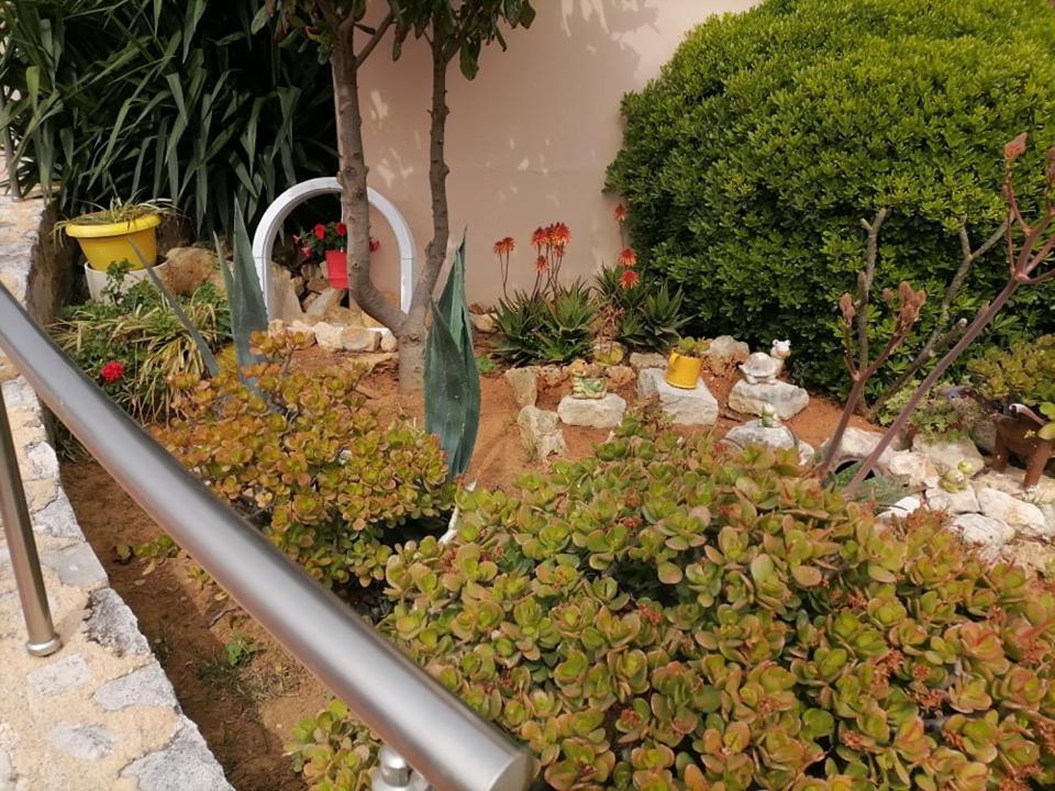 Kydoni Apartments And Studios Agia Marina Buitenkant foto
